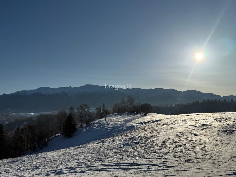 Teren 1550 mp, sat Pestera, zona Bran-Moieciu, jud. Brasov - 3