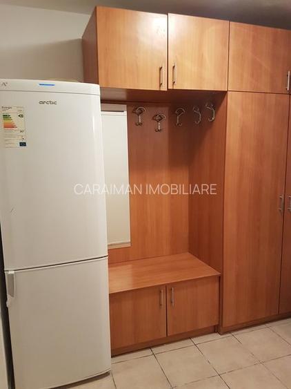 LACUL TEI, ADIACENTI, LANGA FACULTATEA DE C-TII - 4