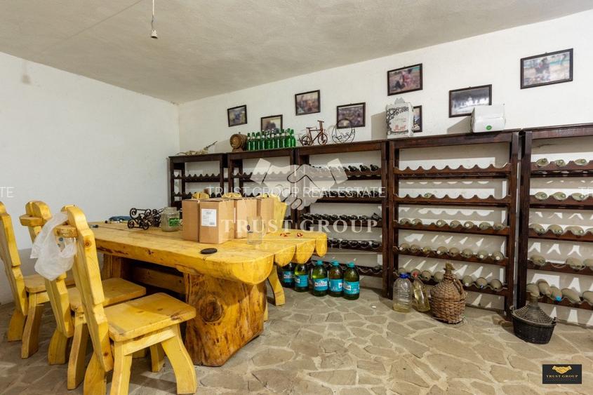 Oportunitate Rara – Vila pe Malul Lacului Snagov | Piscina | Ponton | COMISION 0 - 56