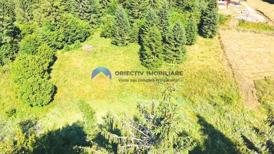 TEREN intravilan  comuna TARCAU - SCHITU - 4