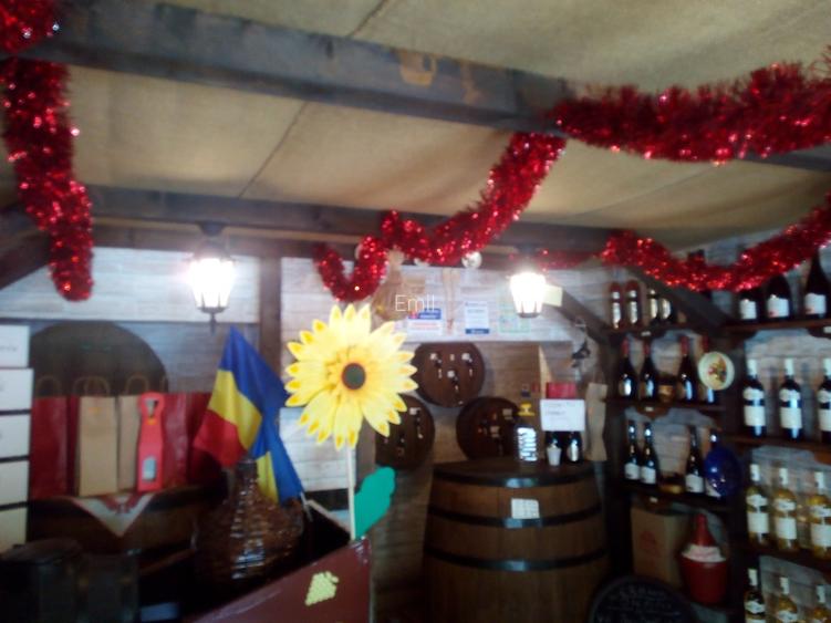 Colentina , Dna Ghica Plaza    - 6