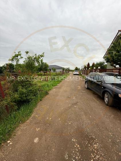 Teren Intravilan Padurea Noroieni - 9