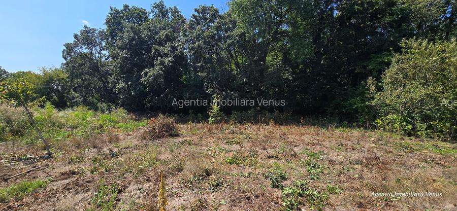 Loc de casa  langa padure - 2