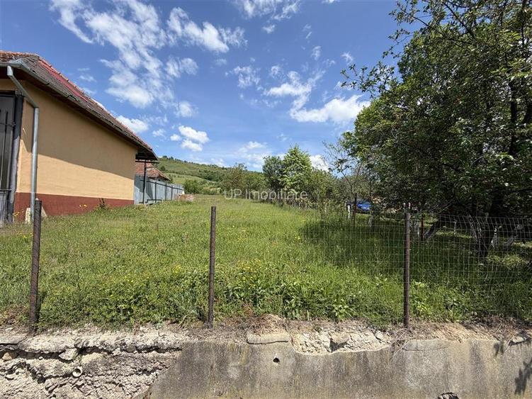 TEREN INTRAVILAN / EXTRAVILAN | DE VANZARE | 1200 MP | ROSIA | BIHOR | - 3