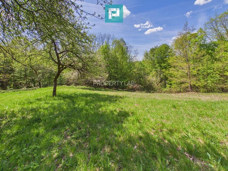 Proprietate rară cu 24.270 mp, în Măgulicea, Arad!