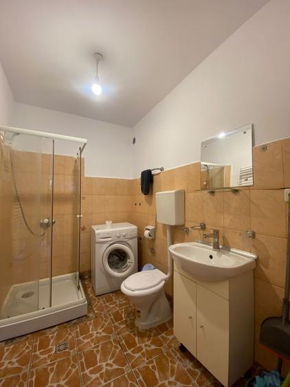 Apartament de inchiriat Ultracentral - O camera - Piata Muzeului