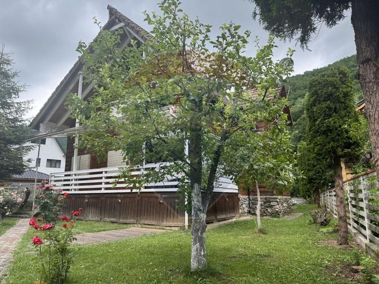 Cabana autentica de munte Frasinet - Baisoara 600 mp teren