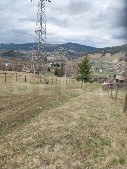 Teren intravilan, 4000 mp, Vatra Dornei