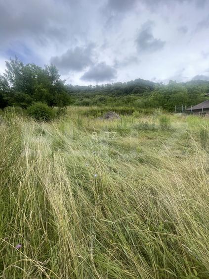 Teren intravilan de 15 ari – Valea Jelnei, str. Câmpului - 6