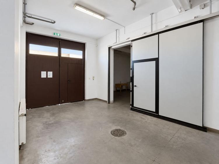 Hală 470 mp, spații frigorifice 4 EUR/mp,  zona Freidorf , Comision 0%