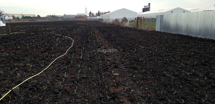 Teren intravilan 1,2 ha *12000 mp, casa 61 mp, sera, front stradal 15 m