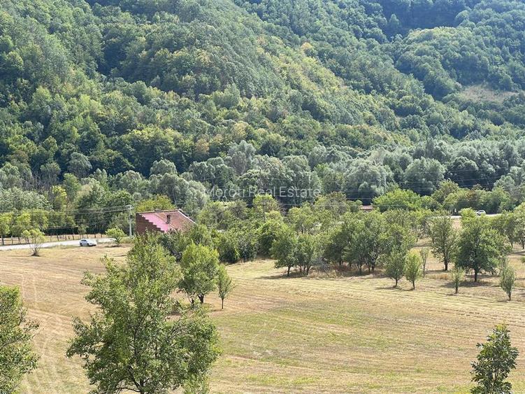 Teren si Casa Mihaileni - 12