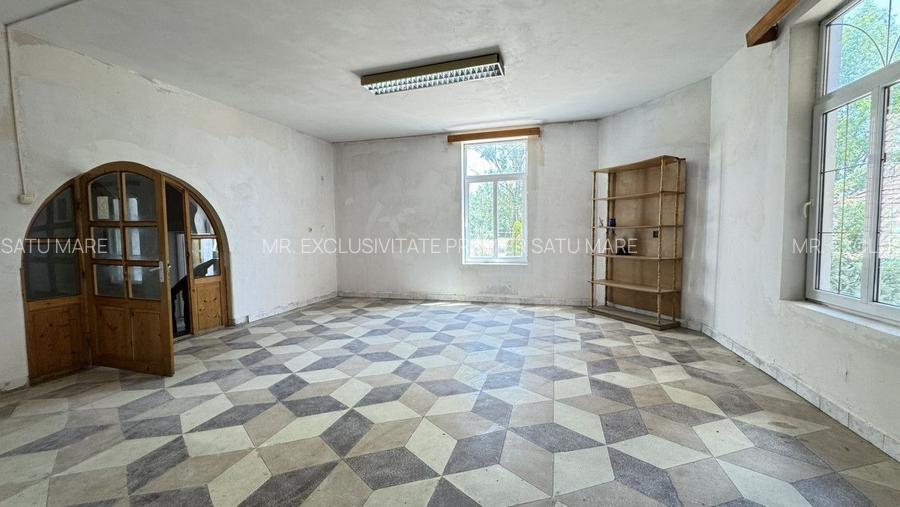 Spații de Inchiriat - Proprietate cu funcțiuni mixte – Str. Căplenilor Carei - 25