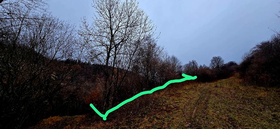Investitie pe termen lung 1577 mp Schei, intravilan