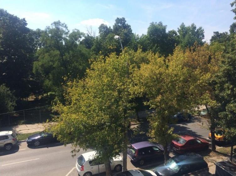 Apartament 4 camere Herastrau