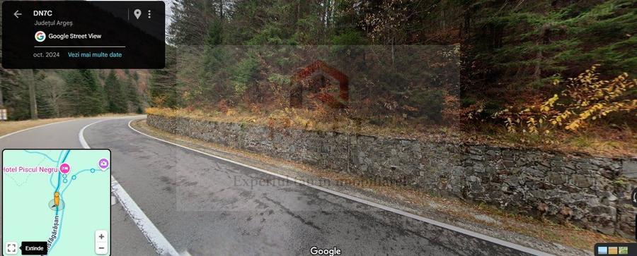Teren extravilan tip pădure de vânzare 500 mp Arefu Transfăgărășan