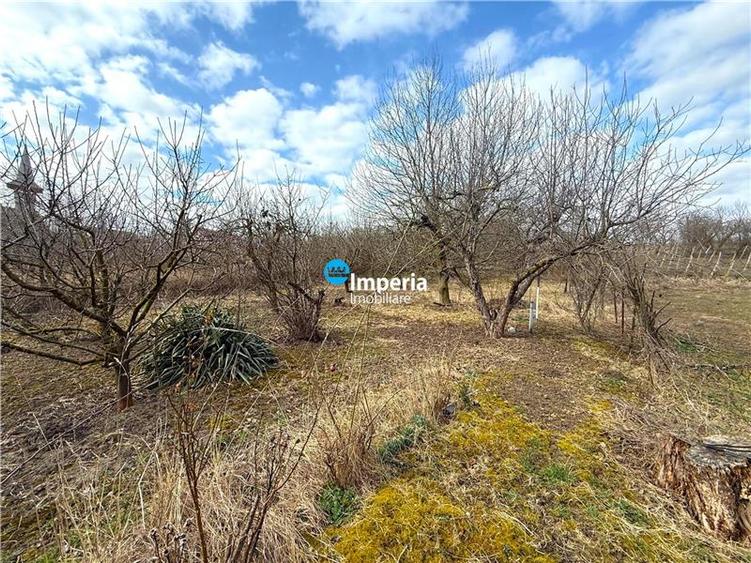 Teren intravilan 4800 mp, investitie, utilitati complete, Dancas Miroslava