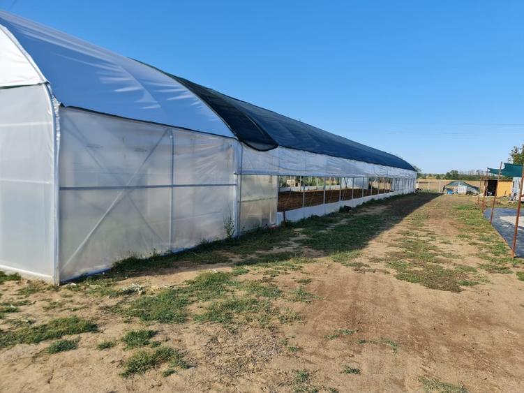 Teren 3200mp de vânzare în suburbie, acces asfaltat