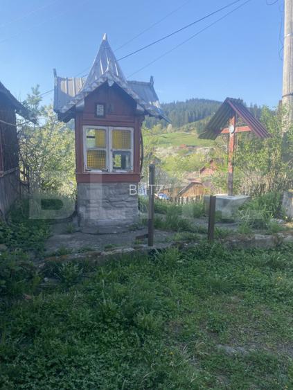 Casă de vânzare, cu 8 camere, 310 mp, cu teren de 1532 mp, zona Frasin - 10