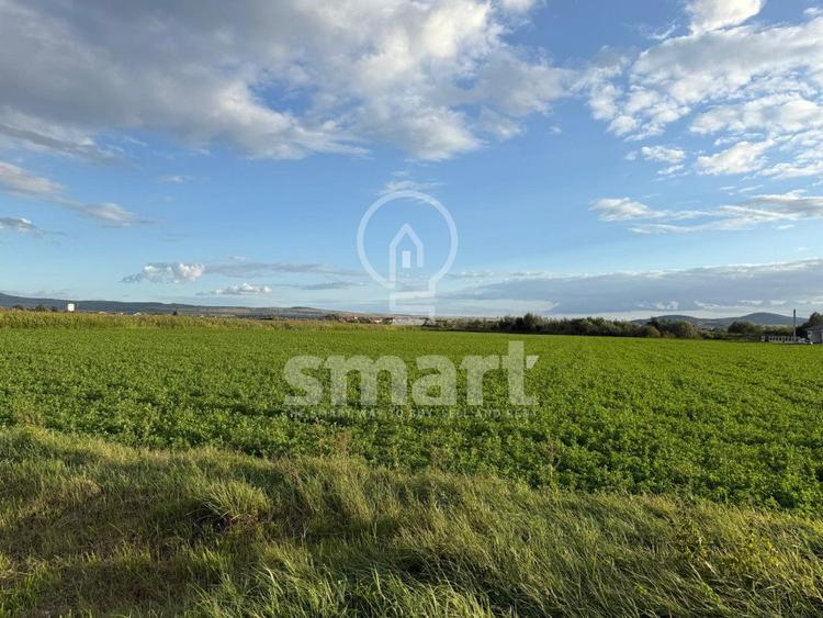 Teren Bistrita Valea Jelnei 19 eur mp
