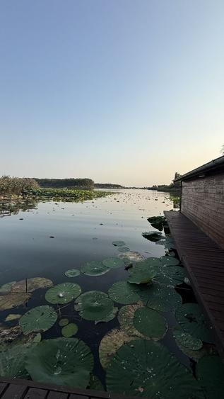 Vila Lac Silistea Snagovului