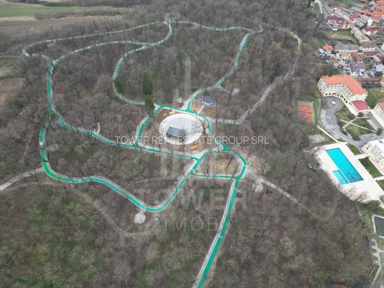 OCAZIE RARĂ - Teren cu cabană de vânzare lângă Lacurile Naturale - Ocna Sibiului - 18