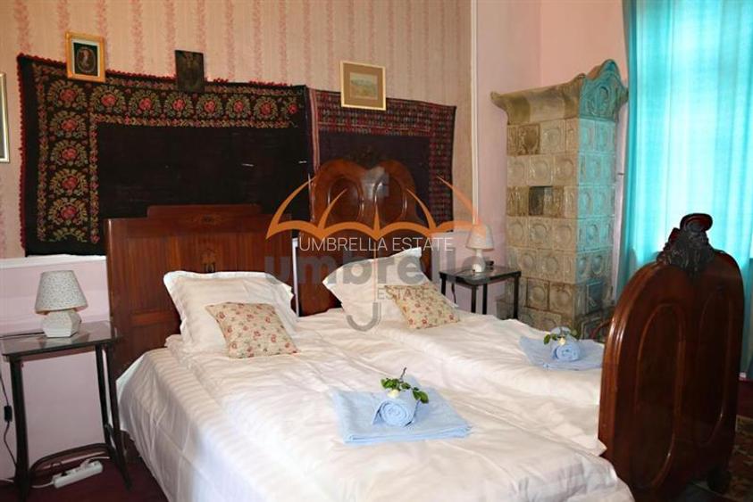 Conac - Casa Memoriala George Stephanescu - 7