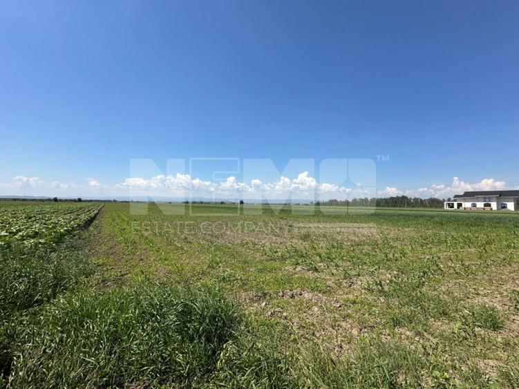 Teren Extravilan | 52 ari | Maneuti | Front 26 m | 55.500 €