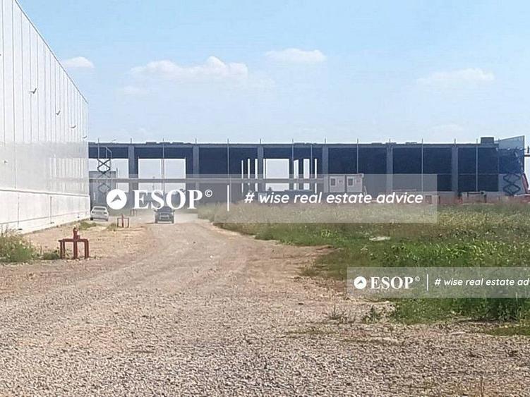WDP Industrial Park Paulesti, hale de inchiriat, 2.500 - 14.150 mp