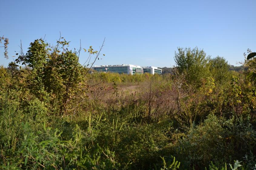 Teren DN1, Padurea Baneasa,Jandarmeriei, Odai, Metrou
