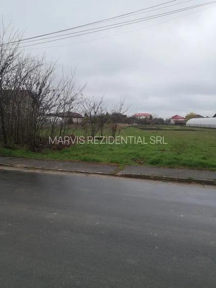 teren intravil+proiect casa/com.Cornetu/IF la 3min de autostr. A0 - 9