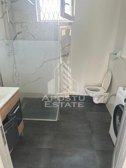 Doua apartamente la curte comuna , zona Iosefin