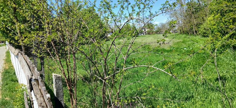 TEREN DE ÎNCHIRIAT / COLABORARE – ZONĂ STRATEGICĂ ÎN COMUNA SURAIA, JUDEȚUL VRAN