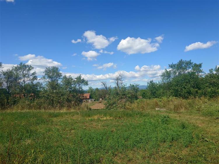 Teren intravilan si cladiri in Lunca