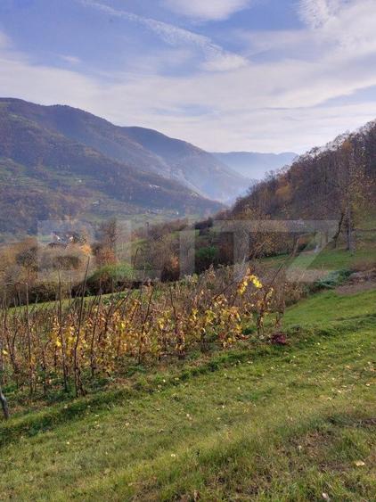 Casă la munte cu teren generos de 9340mp în zona Căpâlna - Valea Sebeșului