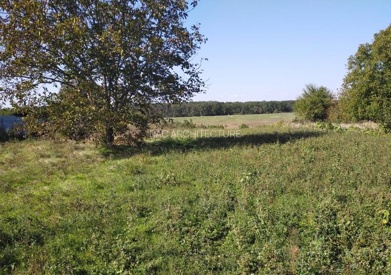 TEREN INTRAVILAN 1950 MP MOARA VLASIEI LA LAC - 5