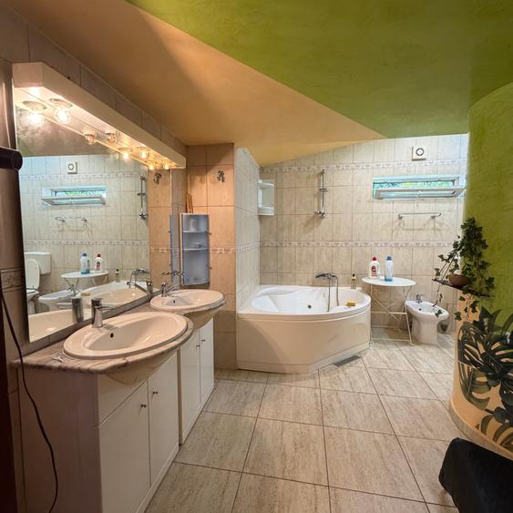Casa P+1, aproape de Piata Universitatii, pet friendly, curte comuna