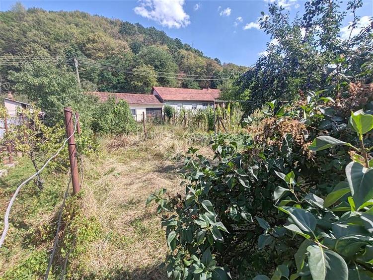 Bocsa Montana, Casa cu pridvor generos, ideala pentru familie extinsa. - 29