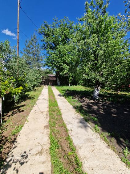 Breaza-casa renovata cu livada pe rod
