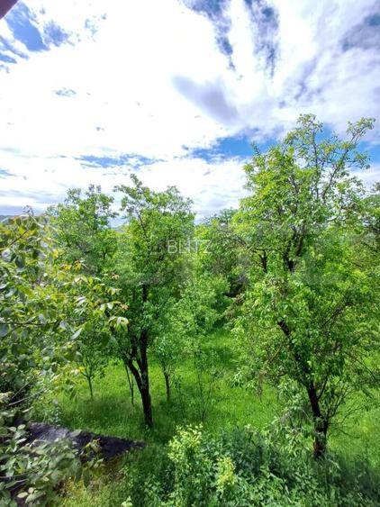 Casa 3 camere si teren 4873 mp  în Pietroasa, Moldovenești - 15