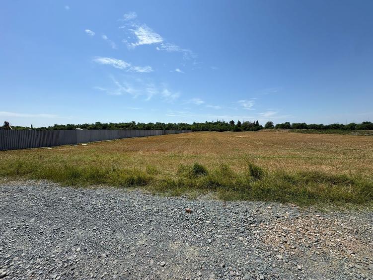 Teren industrial 5.880 mp cu acces direct A2–DN3 – Brănești, Ilfov