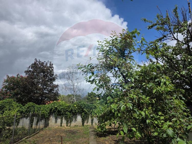 Casă solida 3 dormitoare si teren de 647 mp în zona Aradul Nou - 30