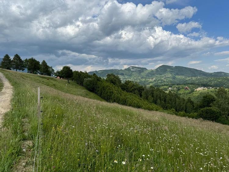 Teren inconjurat de natura de vanzare in Pestera