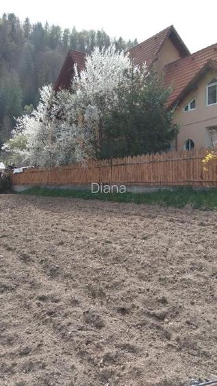 Vilă 13 camere Voineasa, Vâlcea - investiție montana la preț de apartament - 14