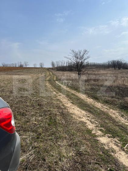 Teren intravilan de vanzare, 9783 mp, Paleu zona Iacului - 6
