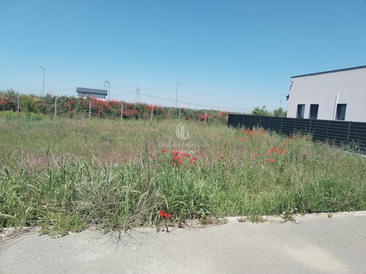 Vanzare Teren intravilan Berceni drum asfaltat