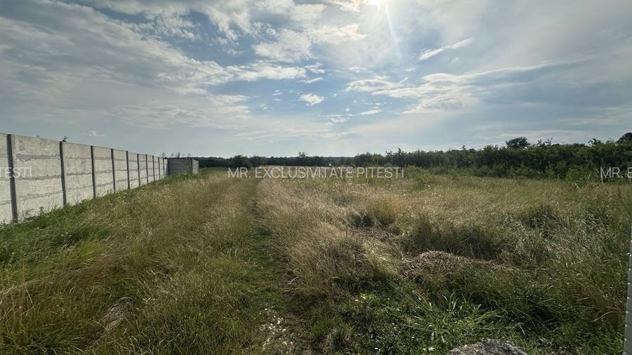 Teren 530 mp intravilan, Albota-Pitesti - 2