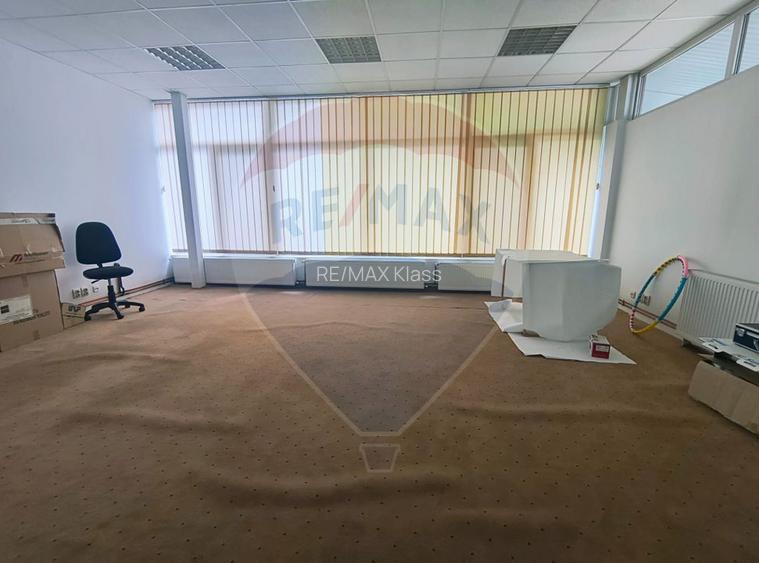 Hala de vanzare Drumul intre Tarlale - Pallady - 4