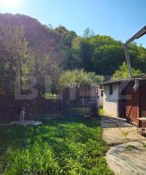 Casă spațioasă cu livadă, într-o zonă liniștiă la 20 km de Târgoviște - 4