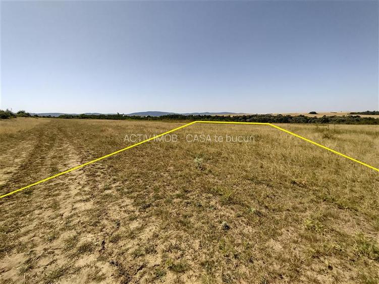 Nicolint, 2 Terenuri Extravilane, Arabil, 1.45 Hectare - 10